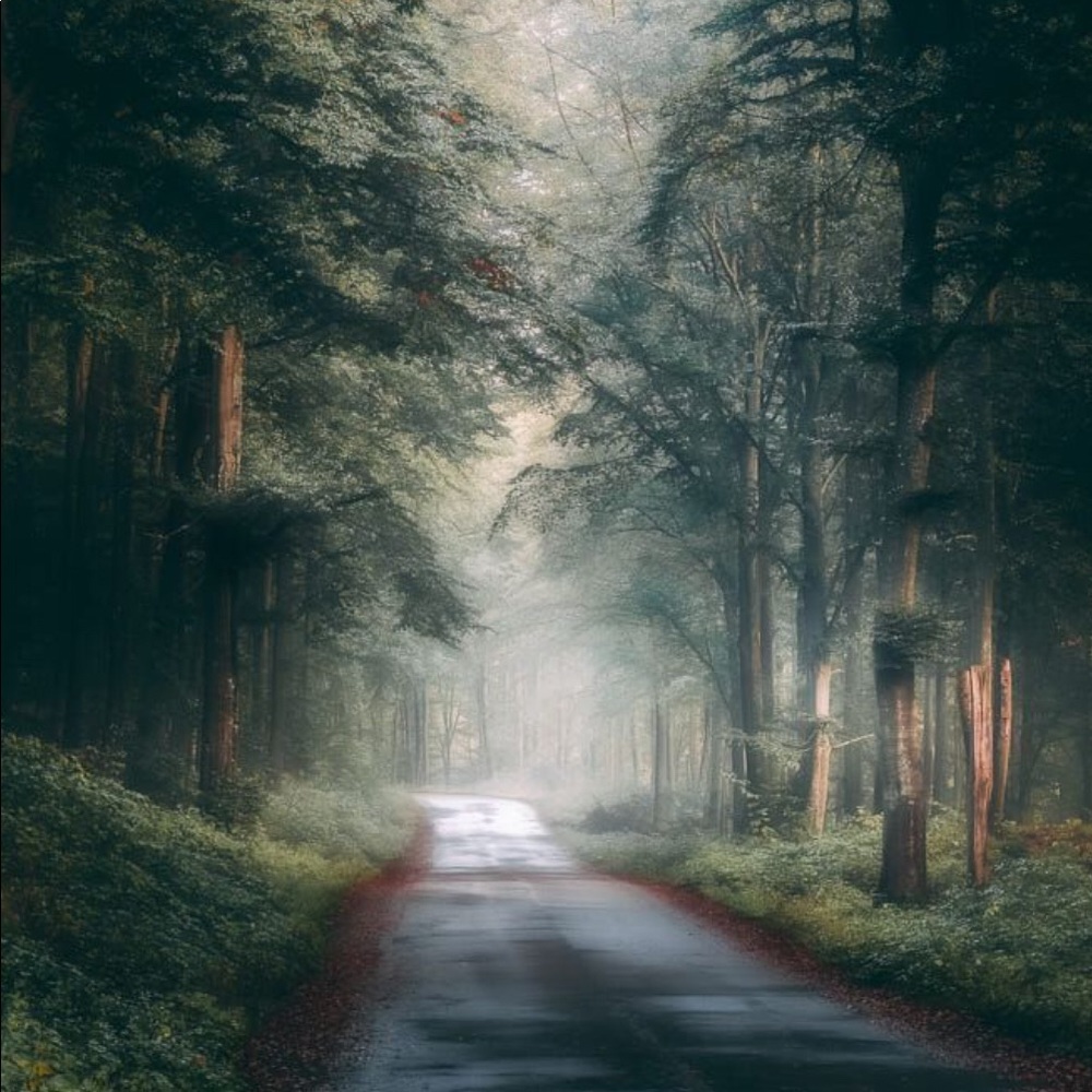 Meet your Posher, Caprice lynx